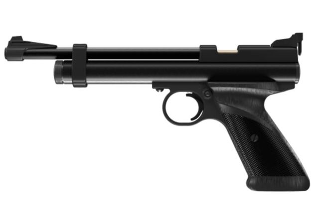 Crosman 2240 (3)