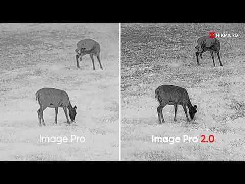 HikMicro Falcon 2.0 FQ50 Warmtebeeldkijker (2)