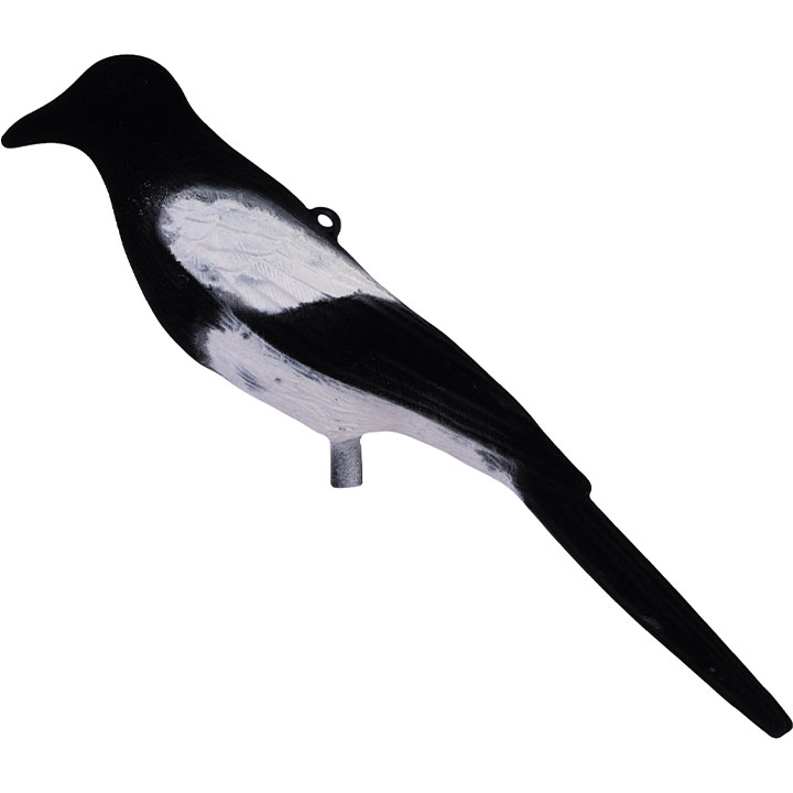 Geflockte Ekster Lokvogel