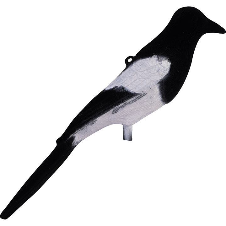 Geflockte Ekster Lokvogel