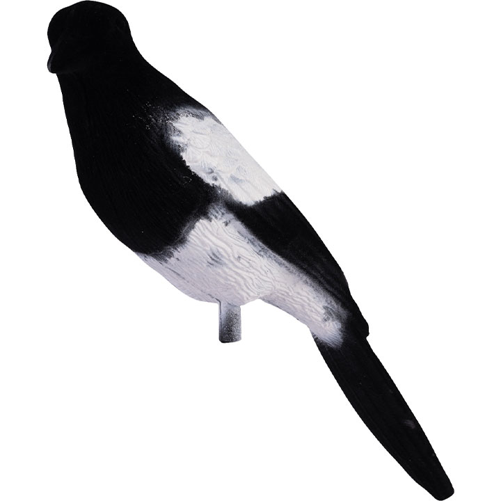 Geflockte Ekster Lokvogel
