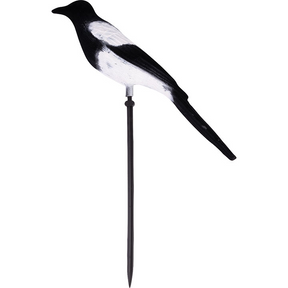Geflockte Ekster Lokvogel