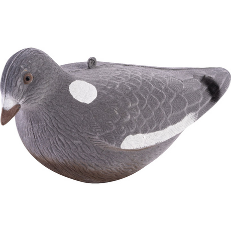 Geflockte Duif Lokvogel Volledig Lichaam