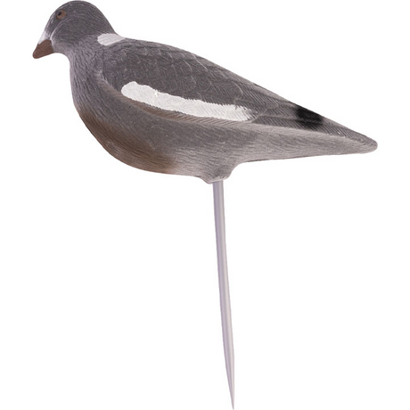 Geflockte Duif Lokvogel Volledig Lichaam