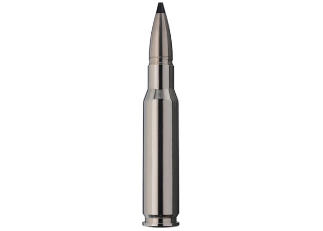 Kogelpatronen RWS .308 Win Speed Tip Professional Short Rifle 165 grain (3)