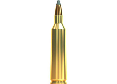 Kogelpatronen Sellier & Bellot .22-250 Rem SP 55 grain (2)