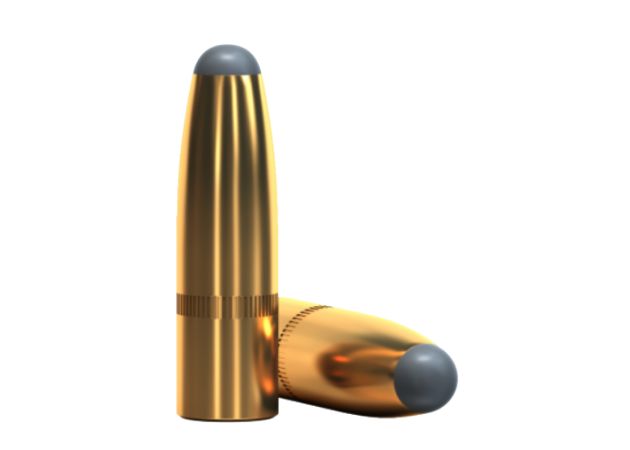 Kogelpatronen Sellier & Bellot .30-06 SP Sprfd 180 grain (2)