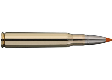 Kogelpatronen RWS .30-06 Sprfd HIT 165 grain (2)