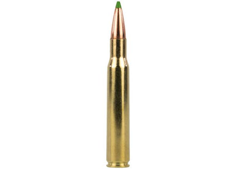 Kogelpatronen Sako Powerhead Blade .30-06 Sprfd SP 170 grain (2)