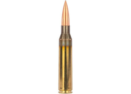 Kogelpatronen SSD Pandora .338 Lapua Magnum Solid 245 grain (2)