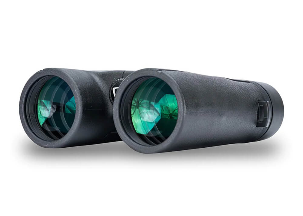 Vanguard Vesta 10x42 Verrekijker