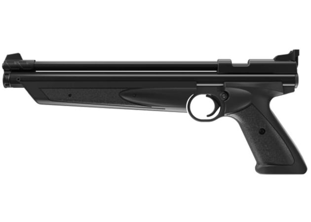 Crosman 1322 (3)