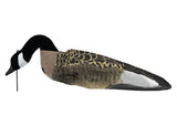 Ganzenlokker Sillosocks FlockSox Canadese Gans Foeragerend 12-Pack (3)