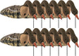 Ganzenlokker Sillosocks FlockSox Grauwe Gans Foeragerend 12-Pack