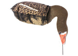 Ganzenlokker Sillosocks Grauwe Gans Foeragerend 6-Pack (3)