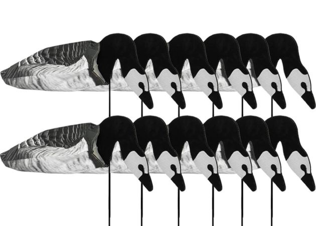 Ganzenlokkers 2D Sillosocks Brandgans Foeragerend 12-Pack