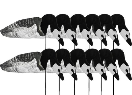 Ganzenlokkers 2D Sillosocks Brandgans Foeragerend 12-Pack