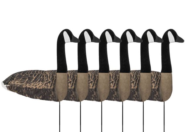 Ganzenlokkers Sillosocks 2D Canadese Gans Statig 6-Pack