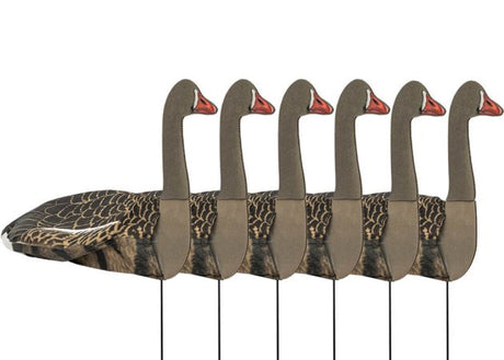 Ganzenlokkers Sillosocks 2D Grauwe Gans Statig 6-Pack