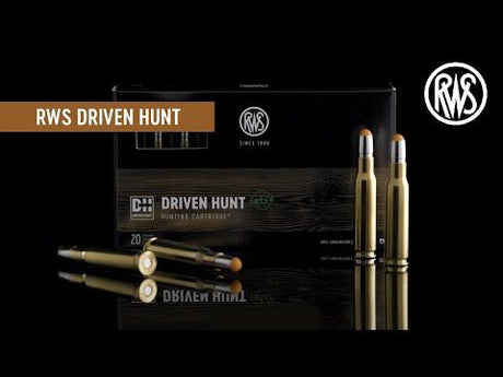 Kogelpatronen RWS .308 Win Driven Hunt 165 grain (3)