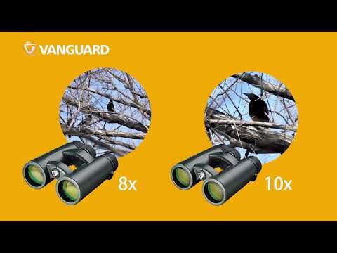 Vanguard VEO HD2 8x42 Verrekijker (3)