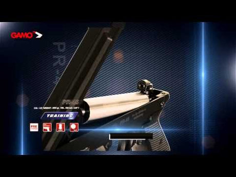 Gamo PR-45 (2)