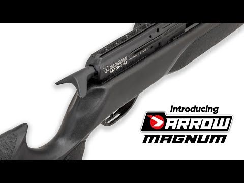 Gamo Arrow Magnum (2)