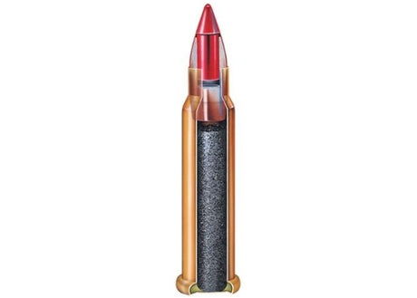Kogelpatronen Hornady .22 WMR V-MAX 30 grain (2)