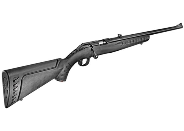 Ruger American Rimfire (2)