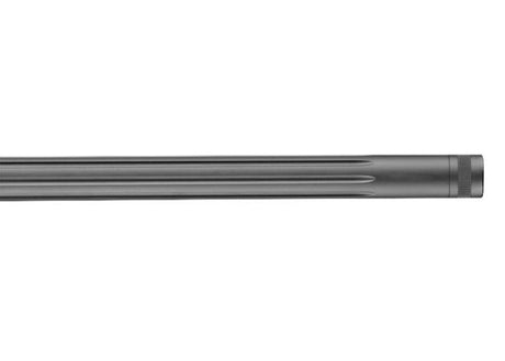 Sauer 100 Pantera (2)