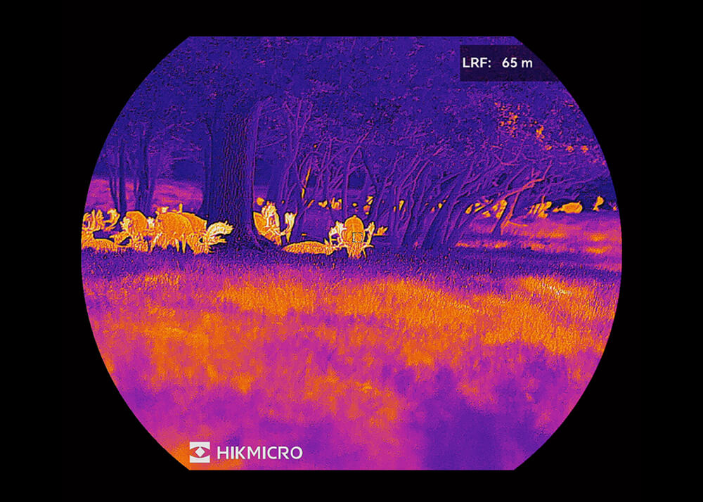 HikMicro Stellar 3.0 SQ50L Warmtebeeldrichtkijker