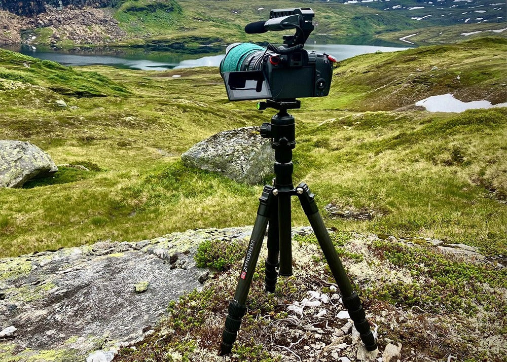 Tripod Ulfhednar met Balhoofd Arca-style 12 kg